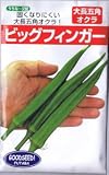 【種子】オクラ ビッグフィンガー 10ml
