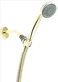 Peerless 76513PB 5-Spray/Massage Hand Shower, Polished Brass [並行輸入品]