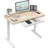 GIBBON MOUNTS 昇降デスク 電動式 （幅120×奥行60,木製天板） スタンディングデスク メモリー機能付き 引出し付き 組立簡