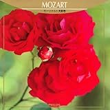 ���[�c�@���g��D��