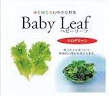 【種子】ベビーリーフ・ロログリーン 1dl