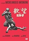 欲望（Blowup）