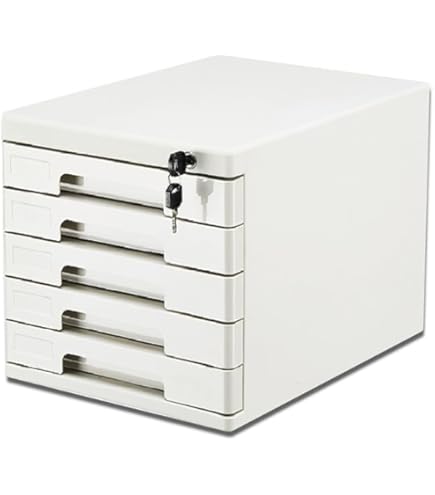 ヴィンテージ ライオン スチールラック 書類ケース 10段 シャッター扉小物入れ 41zNdjdso8L.jpg