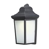 Woodbridge Lighting 60014WL-BKP Energy Saving 1-Light Outdoor Wall Sconce, Powder Coat Black [並行輸入品]