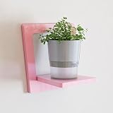 壁の棚の壁のリビングルームの寝室の壁の装飾バルコニーの壁の花の鍋の棚 (色 : B)