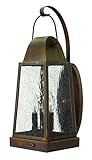 Hinkley 1775SN Outdoor Sedgwick Light by Hinkley