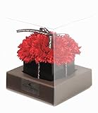 fleurmelody 母の日 フラワーギフト ソープフラワー カーネーション アレンジメント So-K (赤)