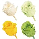 大地農園 プリザーブドフラワー ビビアン・カラーアソート グリーンミックス 約花径2~3×H約2~2.8cm 24輪入 DO002374-770