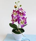 NIUA 造花 胡蝶蘭 優雅で高貴な胡蝶蘭 鉢植 人工観葉植物 鉢植え造花 手芸 綺麗 枯れない スーツ 家庭装飾品　雑貨 お誕生日 お祝い ギフト インテリア 飾り