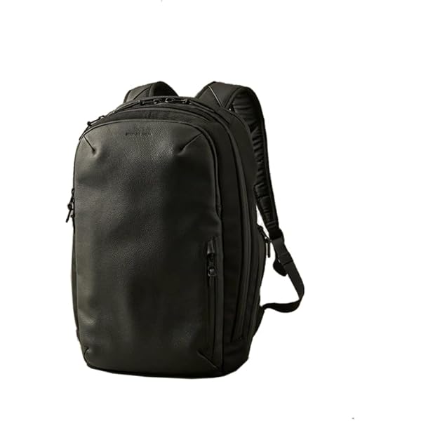 Amazon.co.jp: BROSKI AND SUPPLY BREEZEDAWN Canopy（BLACK/W300×H430