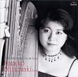 ���̒��̉���