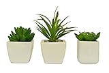 キシマ 人工観葉植物 グリーン (A) W8.5×D8.5×H11cm、(B) W14.5×D14.5×H20cm、(C) W10.5×D9.5×H10.5cm