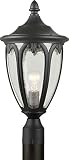 Forte Lighting 1827-01-04 Outdoor Post Fixture with Clear Seeded Glass Shades, Black [並行輸入品]