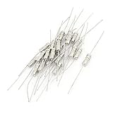 20枚AC 250V 10Aの4x11mmスローブロー演技のアキシャルリードセラミックヒューズ