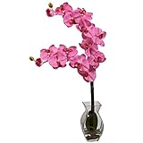 Nearly Natural 1295-DP Phalaenopsis Orchid with Vase Arrangement, Dark Pink [並行輸入品]