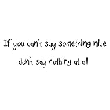 If You Cant Say Something Nice Dont Say Nothing At All Wall Decal Quote Kids Room Wall Art Sticker b