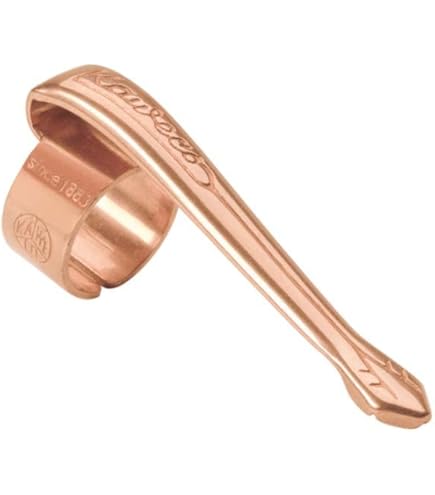 Amazon | Kaweco カヴェコ 万年筆 F 細字 リリプット エコブラス LIFF