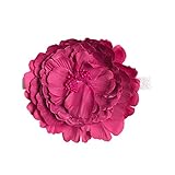 QingFan ACCESSORY ベビー・ガールズ カラー: パープル