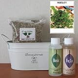 イタリアンパセリの栽培セット/豊作セット（液体肥料付き）プランターホワイト仕様