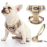 PUPTECK 犬 ハーネス リード セット 犬用 胴輪 はーねす 調節可能 着脱簡単 軽量 メッシュ 通気性 快適 ソフト 反射材付き 引っ張り防止 抜けない 喉に優しい 耐久性 散歩 安全 しつけ用 老犬介護 おしゃれ 小型犬 中型犬 大型犬 （ベージュ チェック, Sサイズ）