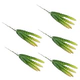 Homyl プラスチック製　人工多肉植物　造花　ルーム　室外　カフェ店　宴会　パーティー　背景装飾　５本入り - １, 14cm