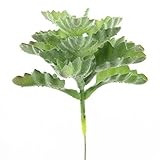 Shinoda Design Center 0031300789 2 Piece Faux Frosted Ruffled Succulent Pick Set 7 Green [並行輸入品]