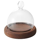 GREENHOUSE ウッディガラスドーム S ブラウン 3701-C-BR