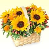 誕生日フラワーギフト　花キューピットのひまわりのウッドバスケット花 ギフト 誕生日 プレゼント
