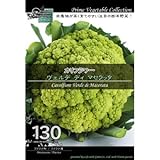 [ 西洋野菜 種 ] カリフラワー ヴェルデ ディ マセラッタ