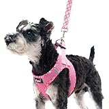 PUPTECK 犬 ハーネス リード セット 抜けない 胴輪 調整可能 軽量 メッシュ 通気性 ソフト 快適 着脱簡単 反射材付き 引っ張り防止 喉に優しい 耐久性 散歩 アウトドア 安全 老犬介護 しつけ おしゃれ 超小型犬 小型犬 中型犬 柴犬（ブラック, XSサイズ）