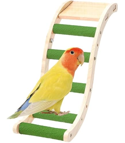 Amazon | 鳥はしご おもちゃ 鳥の木 止まり木 プラットフォーム