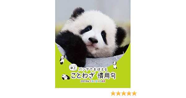 Amazon トライエックス 卓上 パンダでおぼえる ことわざ慣用句 祝日訂正シール付き 19年 祝日訂正シール付き カレンダー Cl 367 卓上 18 15cm パンダ カレンダー 文房具 オフィス用品