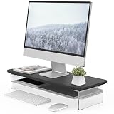Fenge モニター台 モニタースタンド 卓上 机上台 パソコン台 PC台 机上ラック 60cm横幅 2段 木製天板 アクリル製脚 デスクトップ用 収納 整理整頓 ブラック G04Y2062B