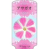 【1000枚】 AC 1型 アサガオ ASAGAO-021 ポリポット用 ラベル 名札 育苗 アンドウケミカル カ施 代不