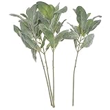 Viviseason (ビビシーズン)4本 人工植物 人工緑のステム 兎耳草 フロッキング グリーン 結婚式 部屋 オフィス パーティー ホテル レストラン 庭 アールデコ 生け花 装飾 (グリーン)
