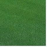 西洋芝の種 ペンクロス 240g　6坪（20平方メートル）分