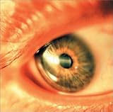 ���O�h�E���f���v�V����