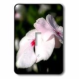 Whiteoaks写真とアートワーク – 花 – Impatiens夢はAフォトI Took At The Athens Georgia Gardens – 照明スイッチカバー – シングルトグルスイ
