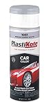 PlastiKote 1051 Nissan Super White Automotive Touch-Up Paint - 11 oz. [並行輸入品]