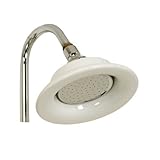 Barclay Sunflower Shower Head [並行輸入品]