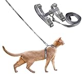 pidan 猫 ハーネス 抜けない ダブルロック 簡単 猫 リード ハーネス セット ワンタッチ 調整できる 猫用ハーネス (ブルー)