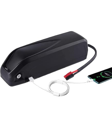 Amazon.co.jp: 電動自転車 48V 20Ah Eバイクバッテリーリチウム