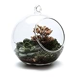T4U 12CM ガラス花瓶 スタンド式/吊り下げ式テラリウム ボトル型 多肉植物鉢 水槽