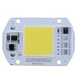 ランプ 投光器 チップ スマートドライバ ランプAC 110V 220V LED 20W 30W 50W