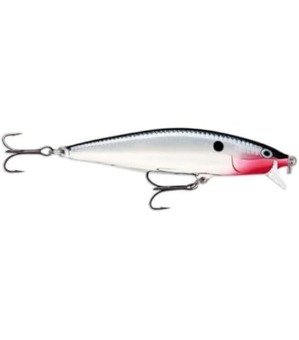 Amazon.co.jp: Rapala(ラパラ) ミノー BX ミノー 7cm 7g アユ AYU BXM7