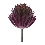 SONONIA プラスチック製　花飾り　プレゼント　観葉植物　エケベリア　枯れない　人造　人工植物　飾り物　多肉植物　紫