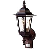 Acclaim 31ABZM Tidewater Collection 1-Light Wall Mount Outdoor Light Fixture, Architectural Bronze [