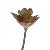工場直接クラフト人工ビニールSucculent Pick forホーム装飾、Gifting Decorating