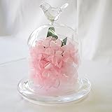サンモクスイ プリザーブドフラワー 花 フラワーアレンジメント あじさい ガラスのドーム (ピンク)