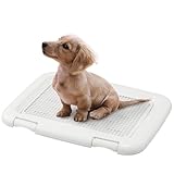 アイリスオーヤマ 犬 トイレ しつけ メッシュカバー付 フチもれしにくいトレーニングペットトレー レギュラー 銀イオン配合 抗菌 アイボリー